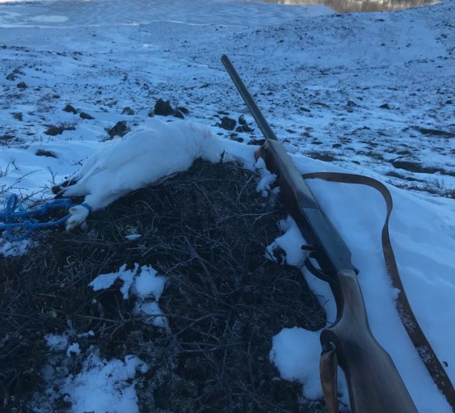 hunting